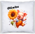 72e369de110cd44a14962b0eb17ed91c.png