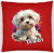 5486f71f33f800e20c9c66aa88a1022a.png
