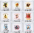 d9c9e41f7ad091a4dffcf2c4fa23d082.png