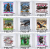62b56edf4b69ef067f54fdccea7d296e.png