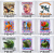 06ff9e4328413fc9a1881b8b022793be.png